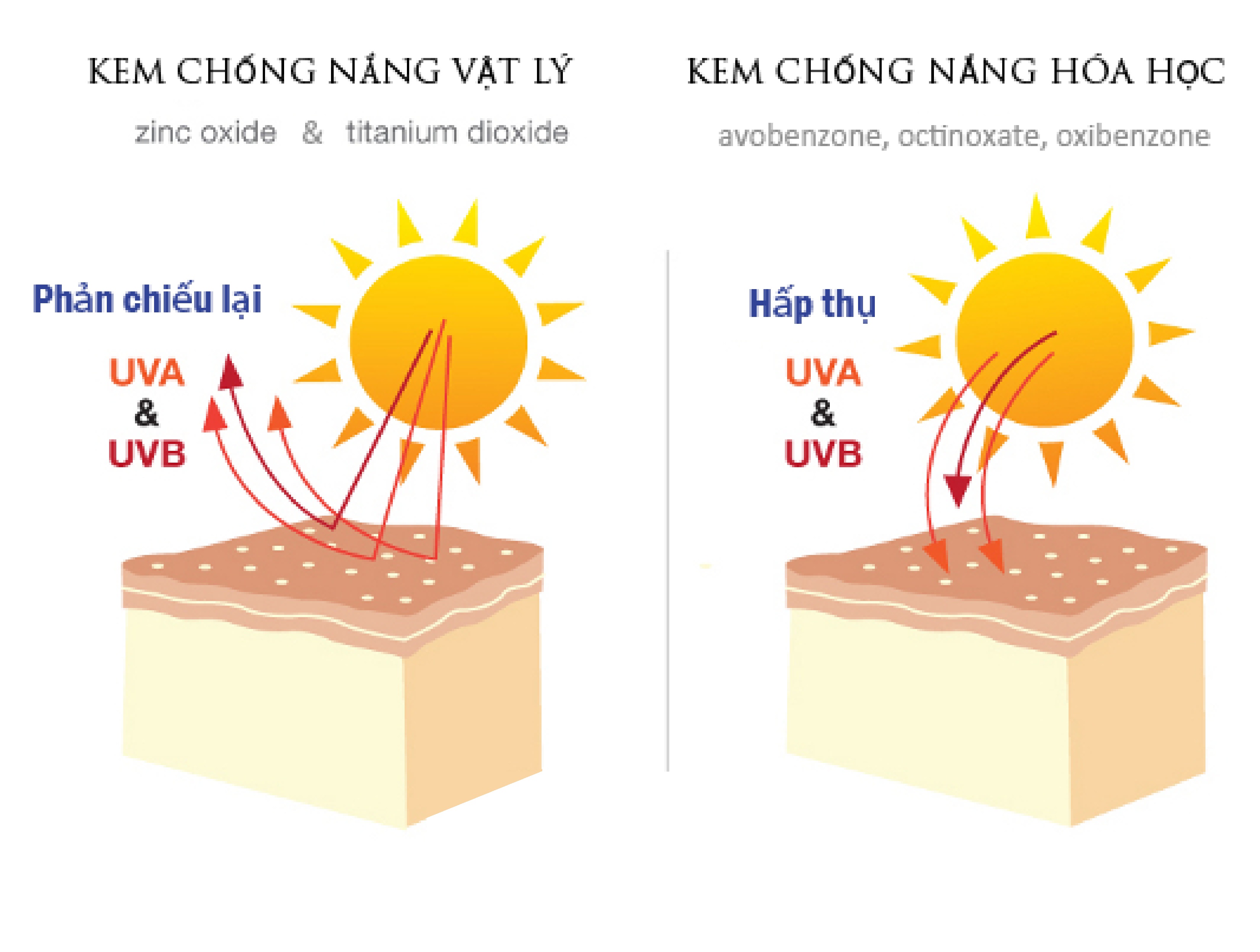 Phân biệt kem chống nắng vật lý và kem chống hóa da