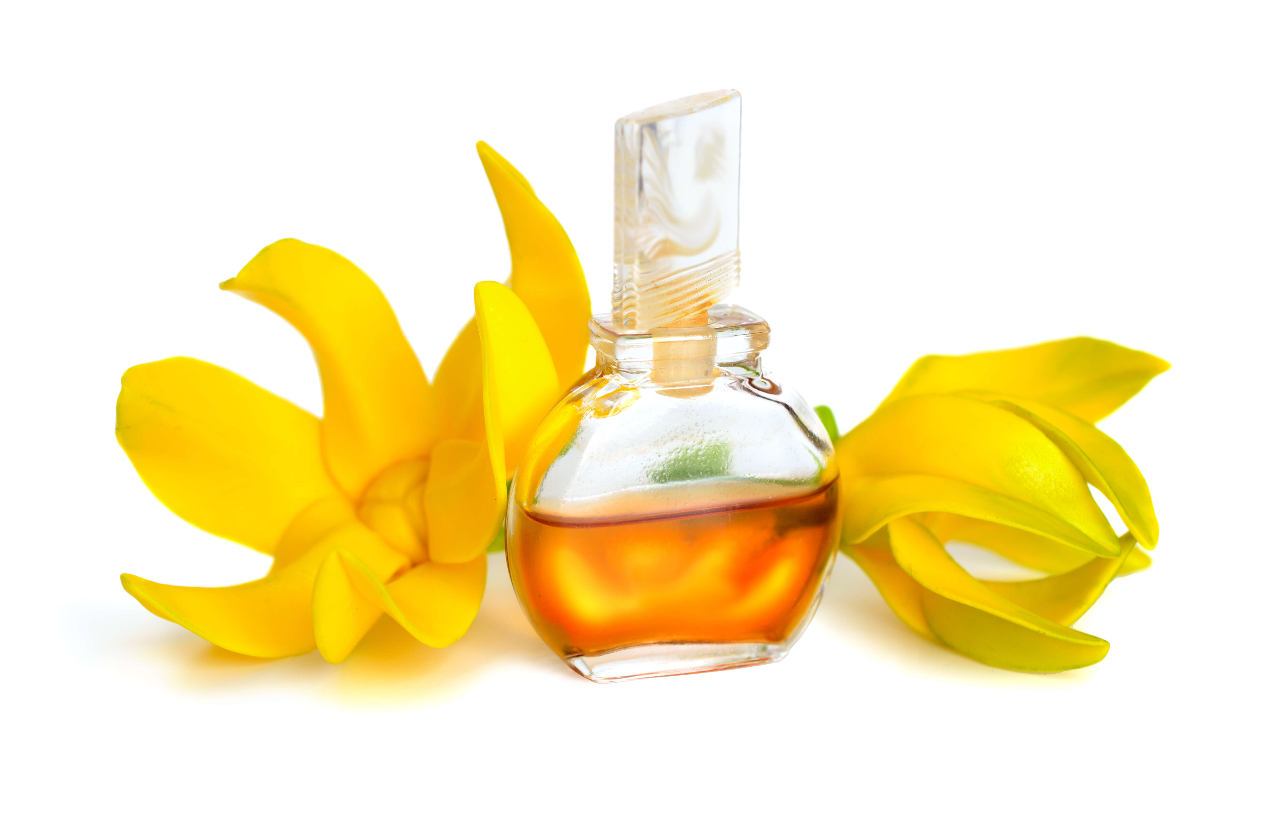 Cananga Odorate Flower Oil