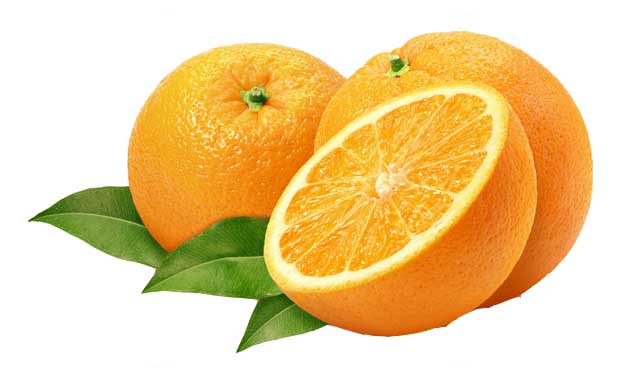 Citrus reticulata (tangerine) peel extract