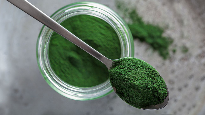 Tảo xoắn Spirulina giúp chống viêm và chống oxy hóa rất hiệu quả