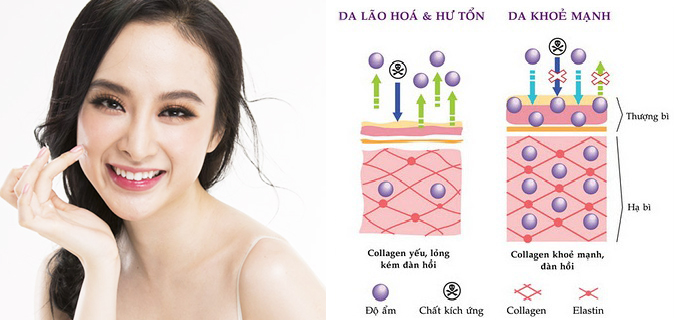 bo-sung-collagen-dang-vien-hinh5