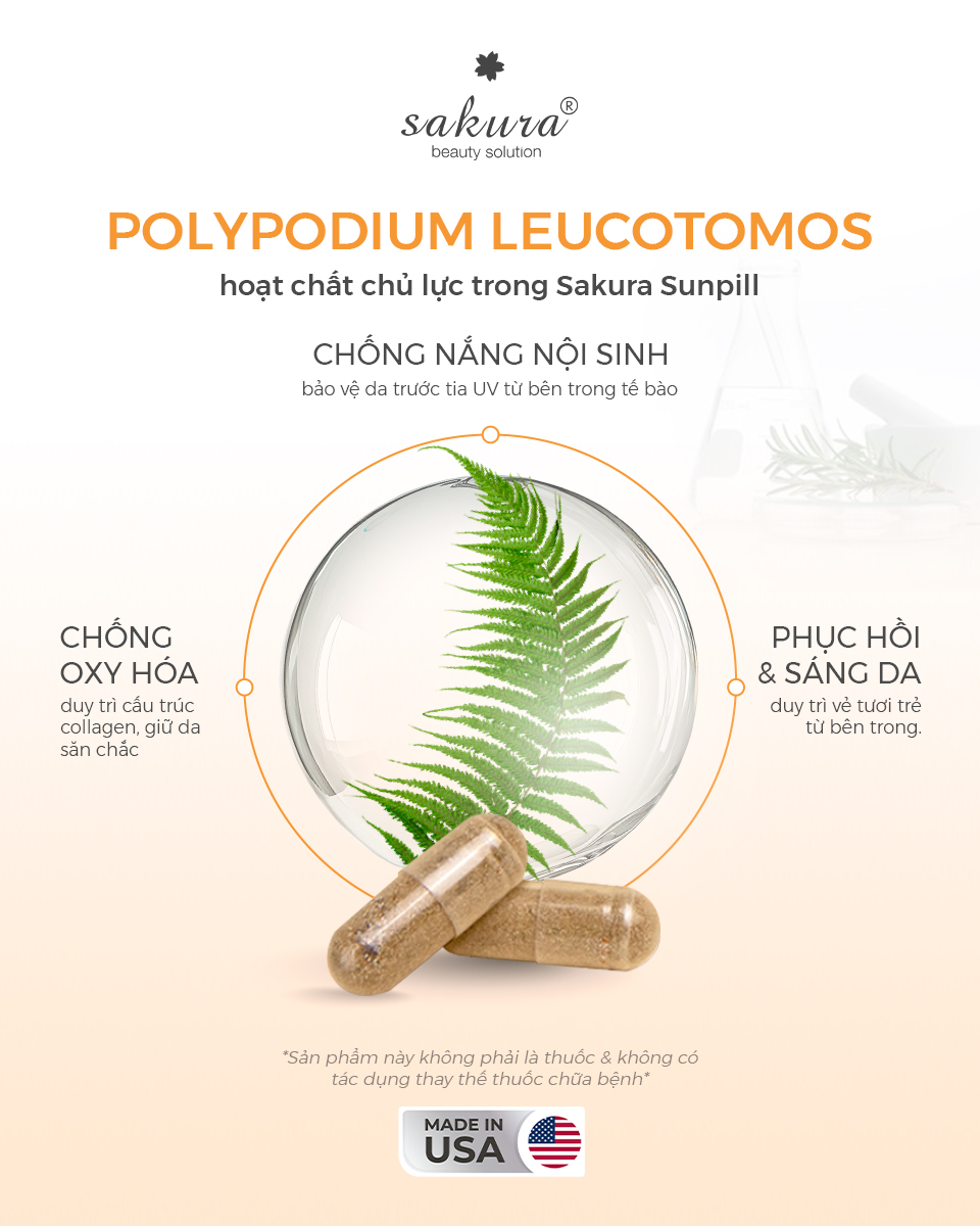 Viên uống chống nắng chiết xuất dương xỉ Polypodium Leucotomos